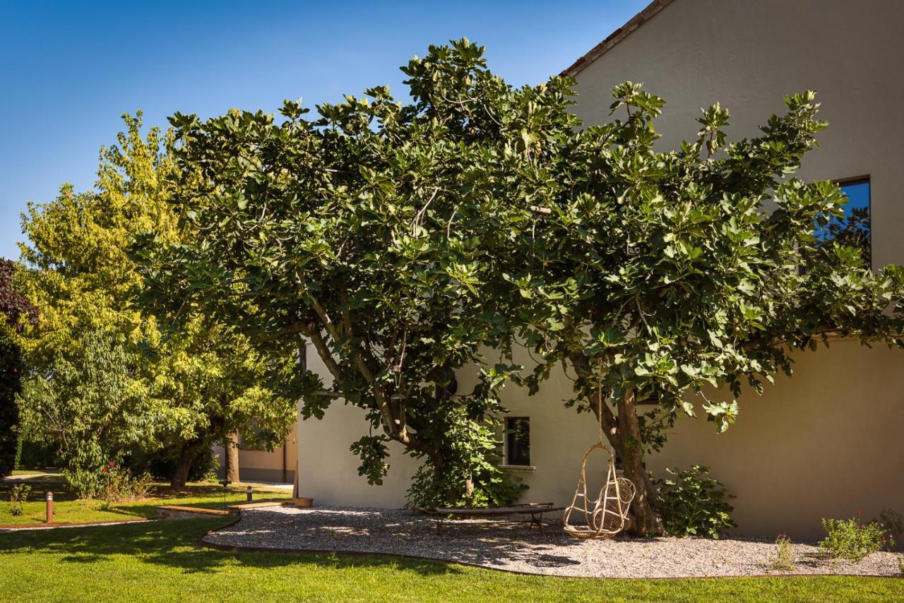 Zucchi Bioagriturismo Agroturismo Castelnuovo Fogliani